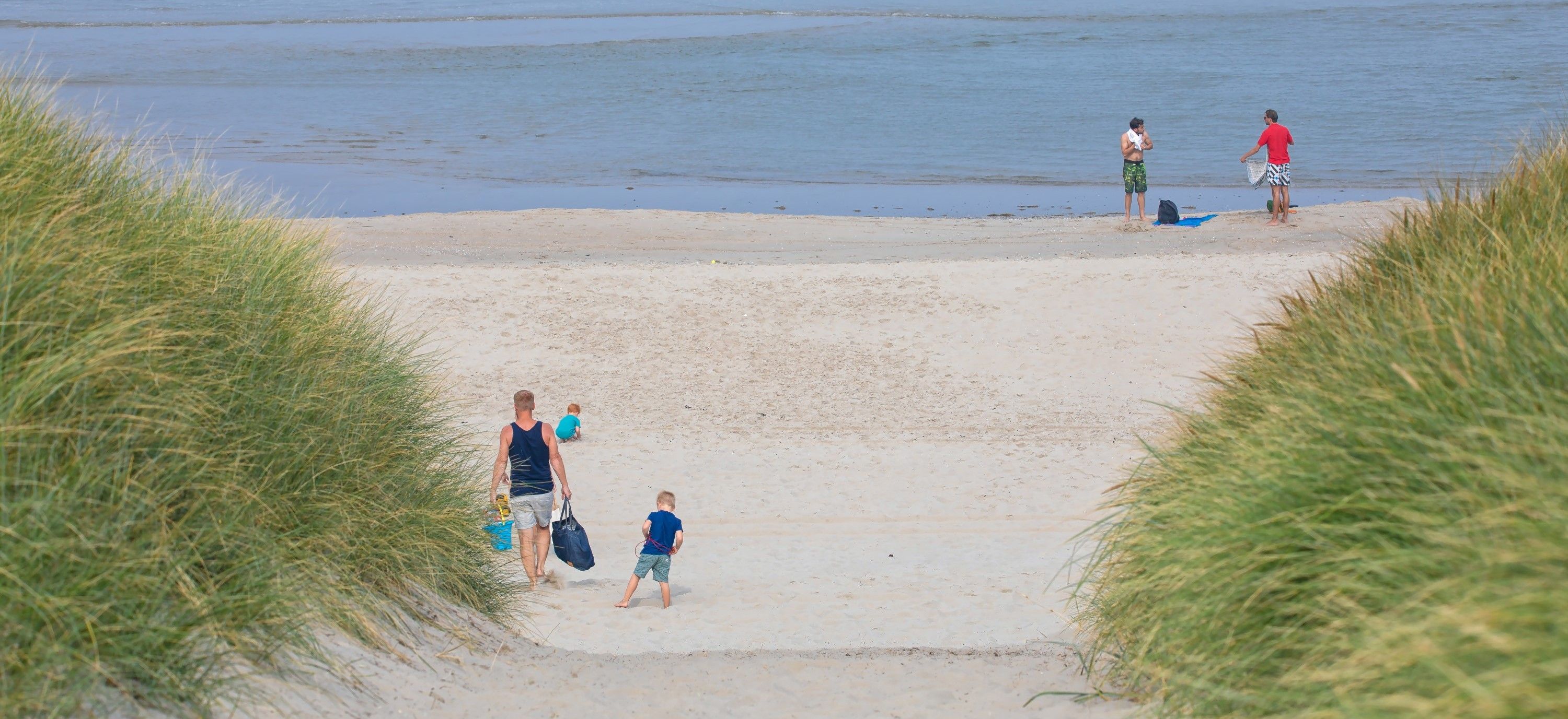 duinen-padnaarstrand